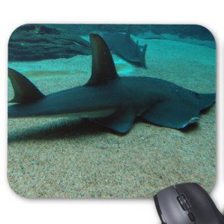 Sand Shark Mouse Pad