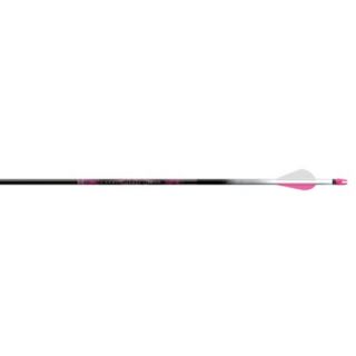 Easton Ion Pink Carbon Arrows with 2 XPV Vanes 500 6 Pack 784059