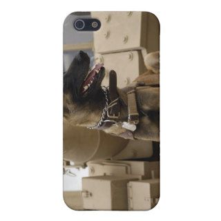 A military working dog sits on a M2A3 iPhone 5 Case