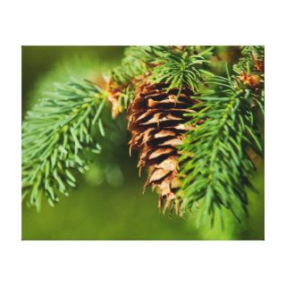 Christmas Evergreen Pine Cone Needles Tree Trees Gallery Wrap Canvas
