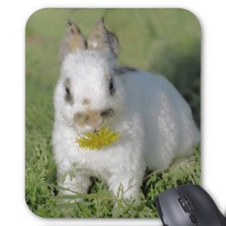 Baby Rabbit Eating Flower Mousepads