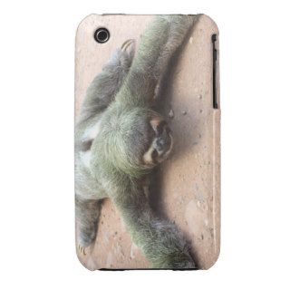 Funny Sloth Iphone 3g/3gs Case iPhone 3 Covers