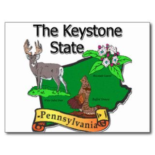 Pennsylvania The Keystone State Bird Deer Flower Postcards