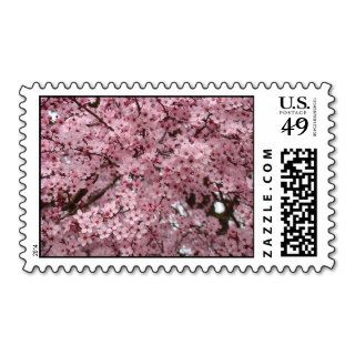Wedding Postage Stamps 64 Pink Blossoms Stamps