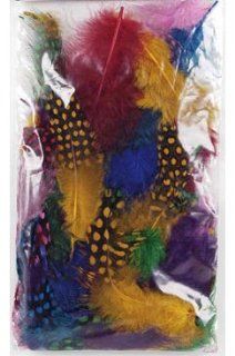 Nail Art Supplies  (1 Pack Guinea Feathers. Assorted Colors) Health & Personal Care