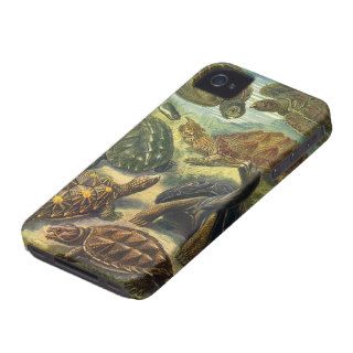 Vintage Marine Reptiles, Sea Turtles Land Tortoise iPhone 4 Case Mate Cases