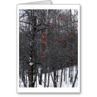 Berkshire Winter Apples Greeting Cards