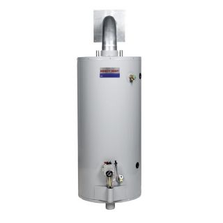 Direct Vent Direct Vent 40 Gallon 6 Year Short Gas Water Heater (Liquid Propane)