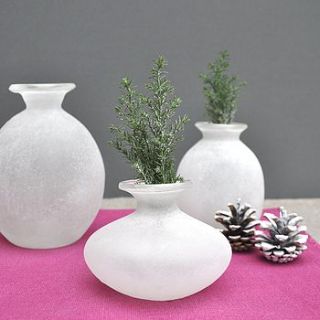 frosted glass vases by henry's future