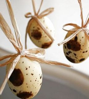 pack of 12 mini quail eggs by jane means