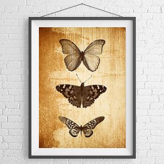 butterfly trio print by brighton artists