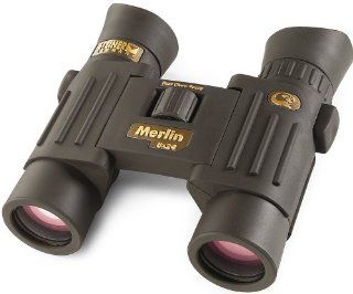 Steiner 8x24 Merlin Binocular  Camera & Photo