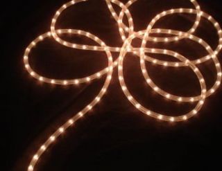 100' Clear Commercial Length Christmas Rope Light On a Spool