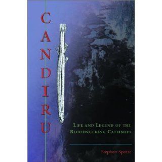 Candiru Life and Legend of the Bloodsucking Catfishes Stephen Spotte 9780887394690 Books