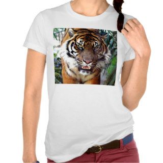 Tiger Wild Animal T Shirts