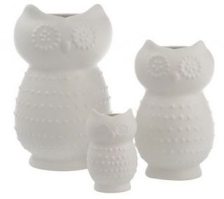 Genevieve Gorder Set of 3 Owl Collection Decorative Vases —