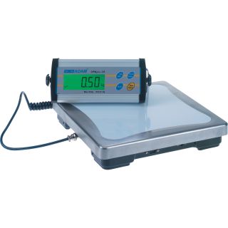 Adam Equipment Electronic Scale with Remote Display — 75-Lb. Capacity  Scales