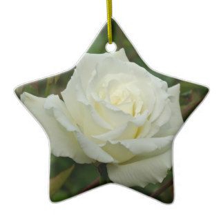 White Hybrid Tea 'Mrs. Herbert Stevens' Rose Christmas Ornaments