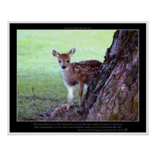 Baby Deer Fawn Photo & Poem Poster