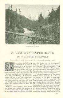 1916 Theodore Roosevelt Hunting Quebec St Anne River  Prints  