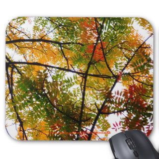 Chinese Pistache Tree   Mouse Pad