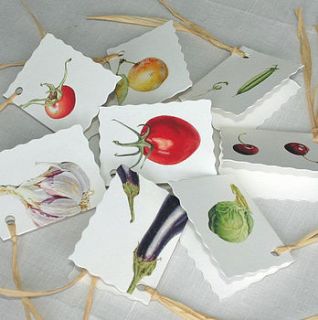 six assorted 'fruit and veg' gift tags by the botanical concept