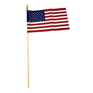 27 in x 12 in United States Mini Flag