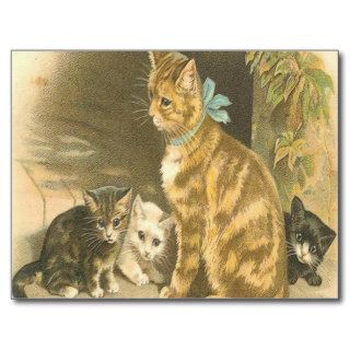 Vintage Mother Cat and Kittens Postcard