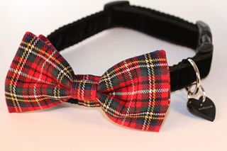 hamish tartan bow tie dog collar and lead by scrufts