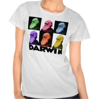 Rainbow Darwin Women's Shirt