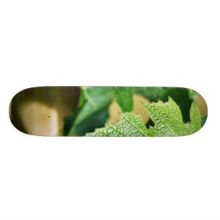 Green Grape Leaf Skateboard Decks