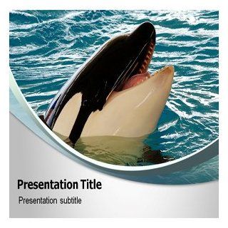 Killer Whale Powerpoint Templates   Killer Whale Powerpoint (PPT) Templates Software