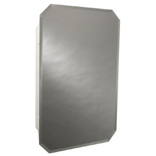 Zenith 16 in x 24 in Frameless Plastic Surface Mount and Recessed Medicine Cabinet