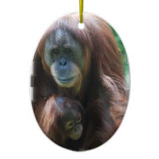 Orangutan with Baby Ornament
