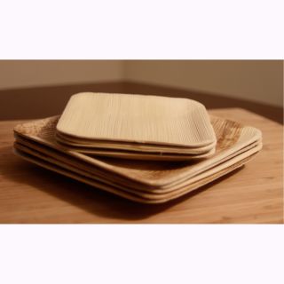 Compostable Palm Leaf Plates   Square (pack Of 100)