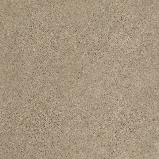 STAINMASTER Trusoft Luscious IV Driftwood Textured Indoor Carpet