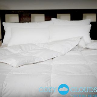 Cozyclouds By Downlinens All Season White Down Comforter