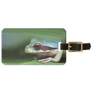 Masked puddle frog luggage tags