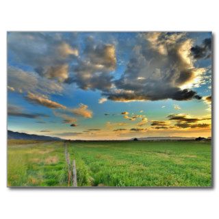 Country Sunset Scene Postcard