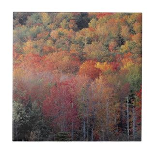 Nature Trees Autumn Colorful Hill Ceramic Tiles