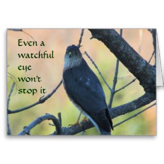 Cooper's Hawk 653 in tree  customize any occasion Card