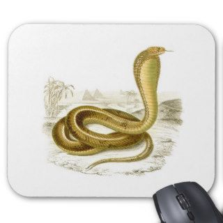 Orbigny   Egyptian Cobra   Naja haje Mouse Pads
