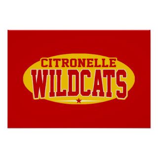Citronelle High School; Wildcats Poster