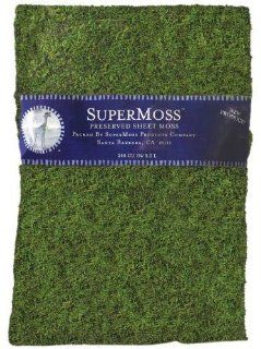 Super Moss 21599 Preserved Sheet Moss, Fresh Green, 8 Ounce  Plant Container Accessories  Patio, Lawn & Garden