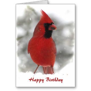Cardinal Birthday Greeting Cards