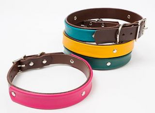 made to measure handmade leather dog collar by mannandmoon