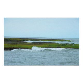 Wetland Waves Poster