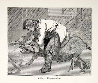 1877 Wood Engraving Edwin Landseer Art Wild Boar Piglets Butcher Animal Cruelty   Original Wood Engraving   Prints