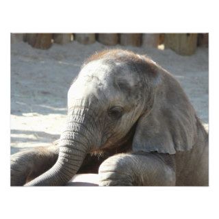baby elephant custom invitation