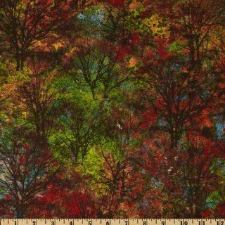 Marblehead Northern Woods Trees Orange/Red Fabric By The YD